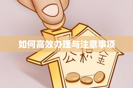 丹江口如何高效办理与注意事项