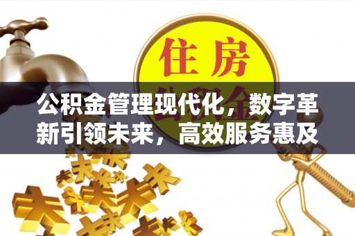 丹江口公积金管理现代化，数字革新引领未来，高效服务惠及民生