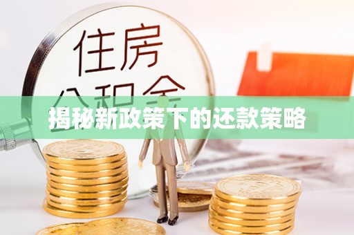 丹江口揭秘新政策下的还款策略