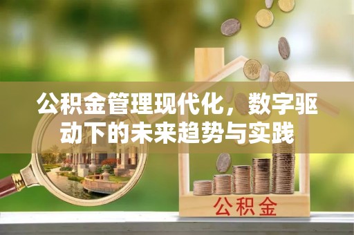 丹江口公积金管理现代化，数字驱动下的未来趋势与实践