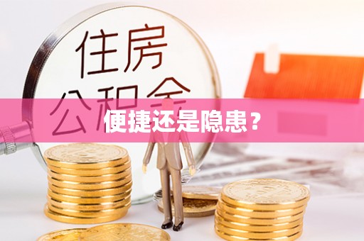 丹江口便捷还是隐患？