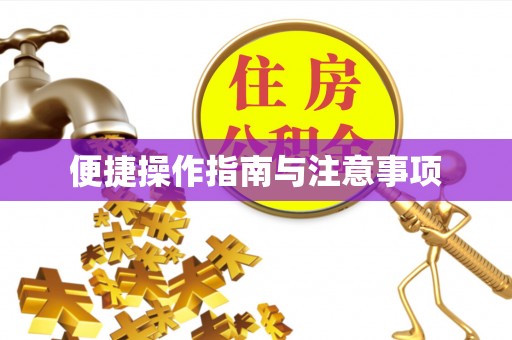 丹江口便捷操作指南与注意事项