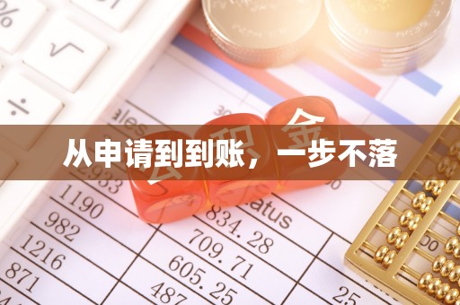 丹江口从申请到到账，一步不落